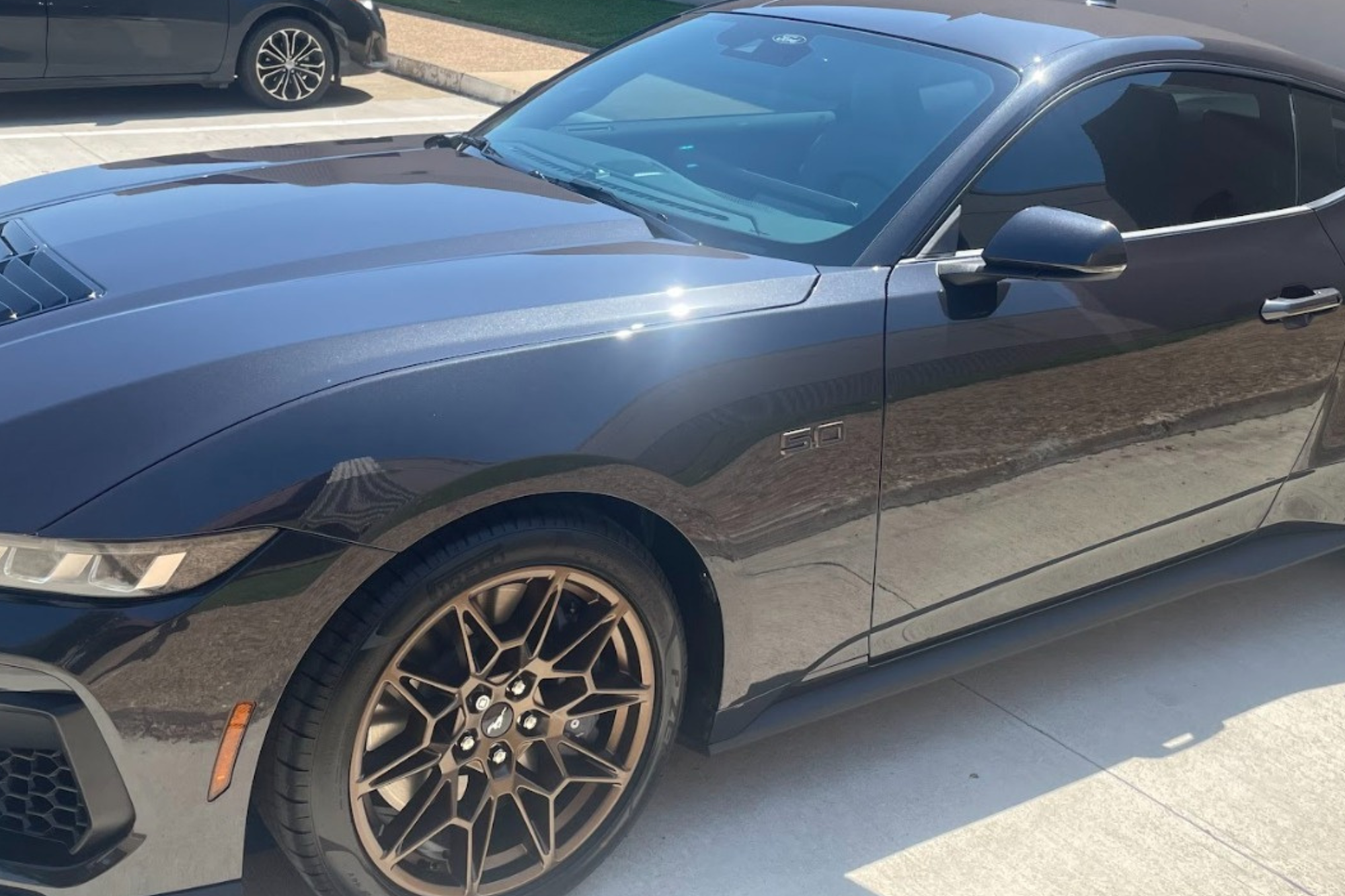 paint protection film